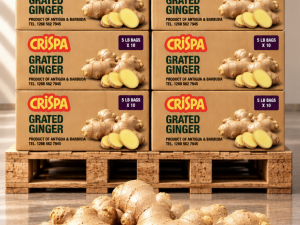 Crispa Grated Ginger - Bulk Wholesale