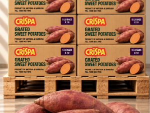Crispa Grated Sweet Potatoes - Bulk Wholesale