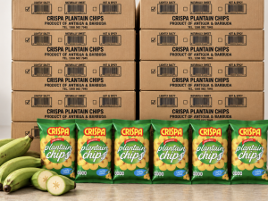 Lightly Salted Plantain Chips (Bulk Case)