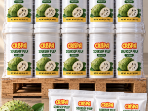 Crispa Soursop Pulp- Bulk Wholesale