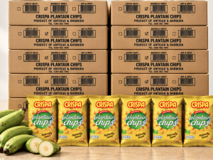 Naturally Sweet Plantain Chips - Bulk/Cases